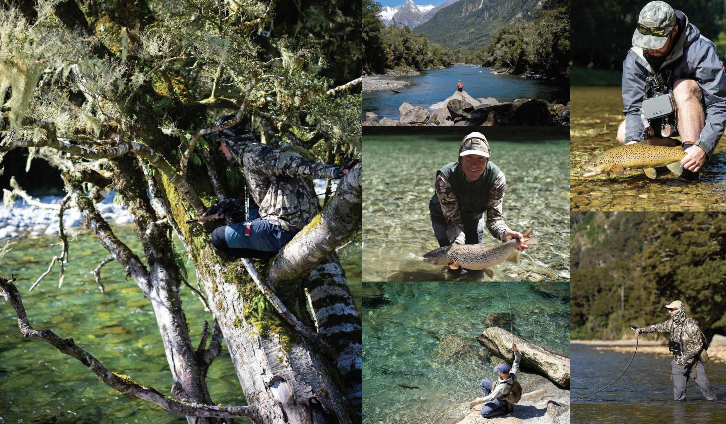 Screenshot 2024-12-08 at 10.53.14 AM.png