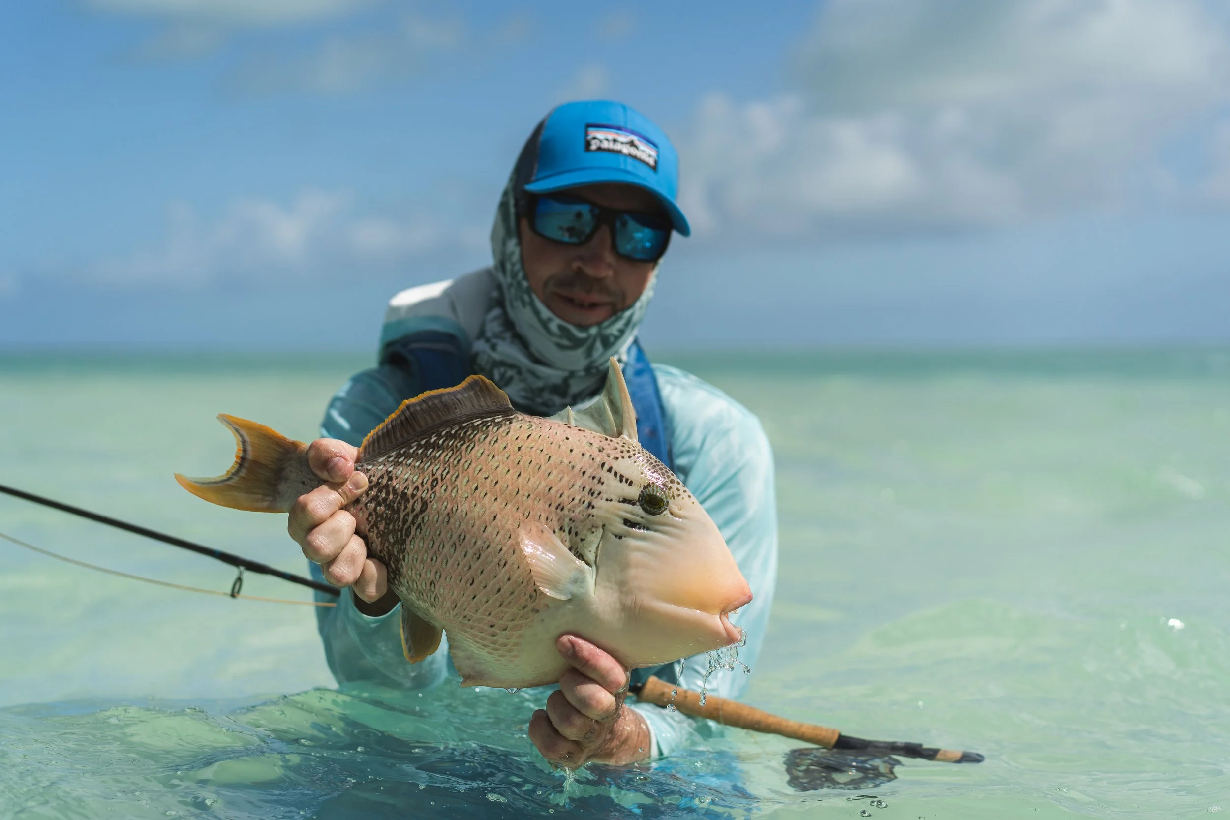A person wearing a blue Patagonia cap, sunglasses, and a neck gaiter holding a large fish in shallow water near the shore, with a cloudy sky in the background.