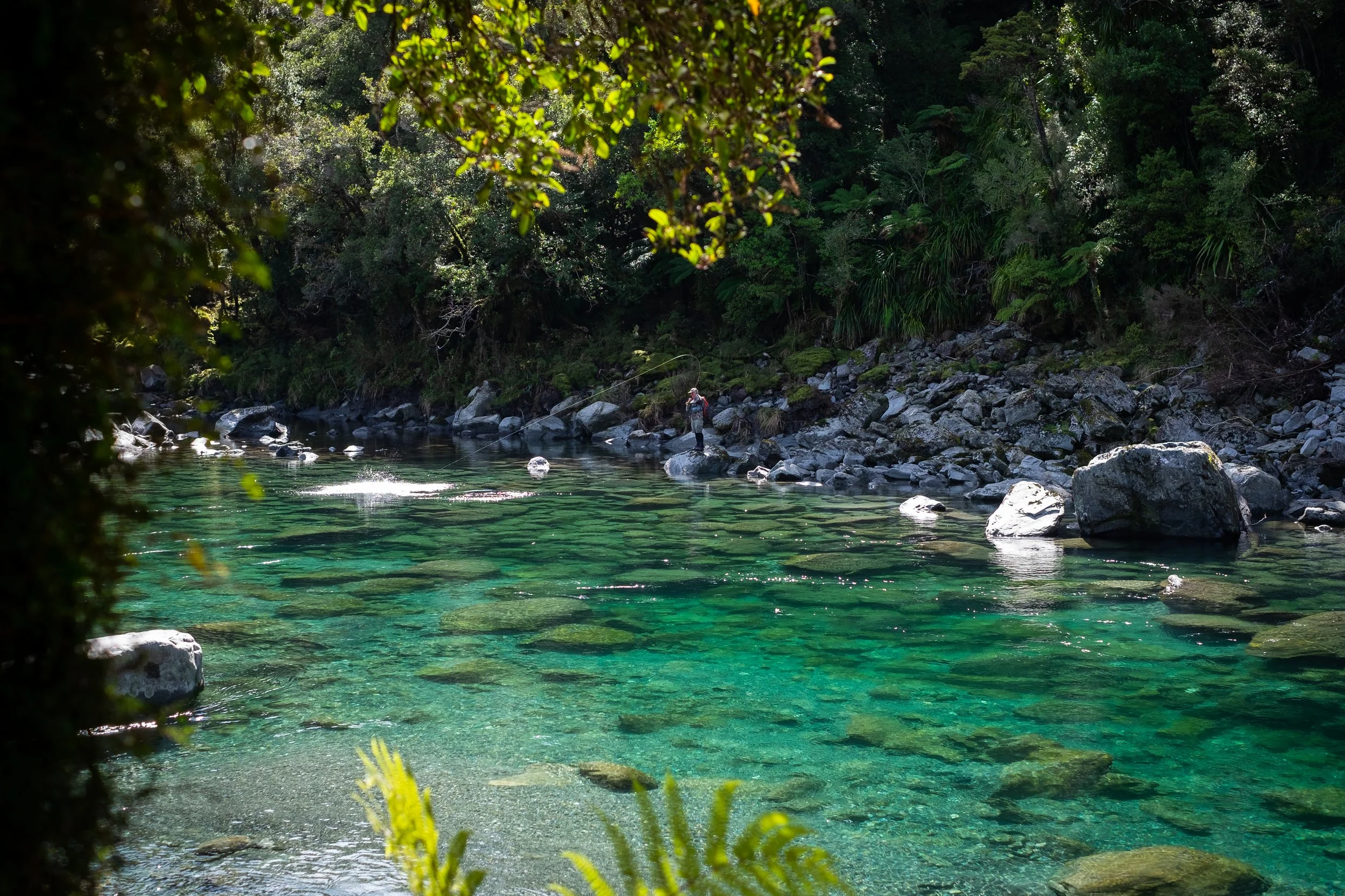 A person standing on rocks at the edge of a clear, green river surrounded by dense trees and bushes in a forest.