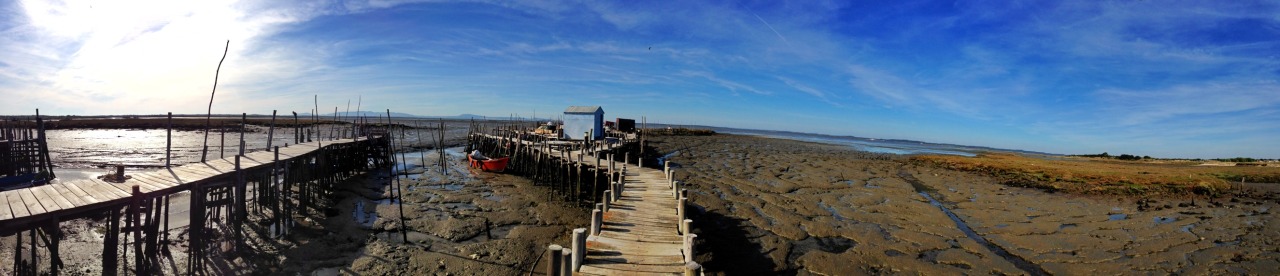28-03-2015 15:52:07 Carrasqueira, Alcácer do Sal, Portugal