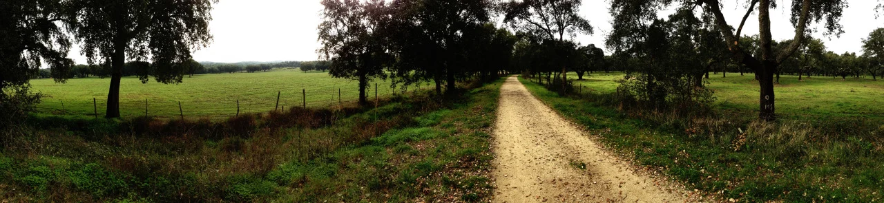 27-12-2014 12:49:48
Montemor-o-Novo, Alentejo, Portugal
