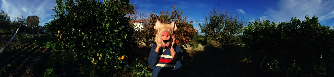 29-11-2014 15:49:52
Montemor-o-Novo, Alentejo, Portugal
