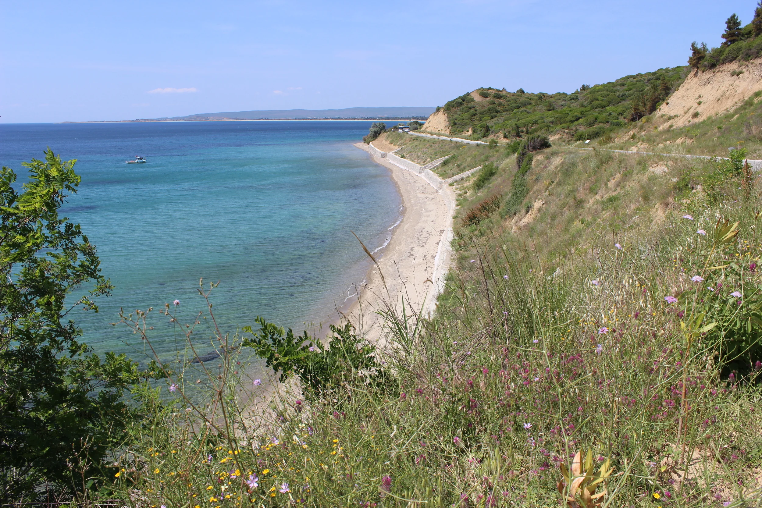 Taking delight of Turkey