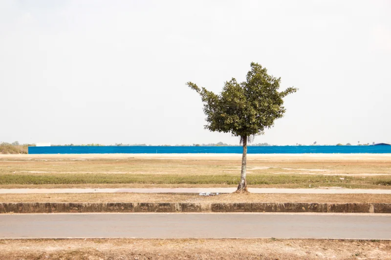 _MG_9531.jpg
