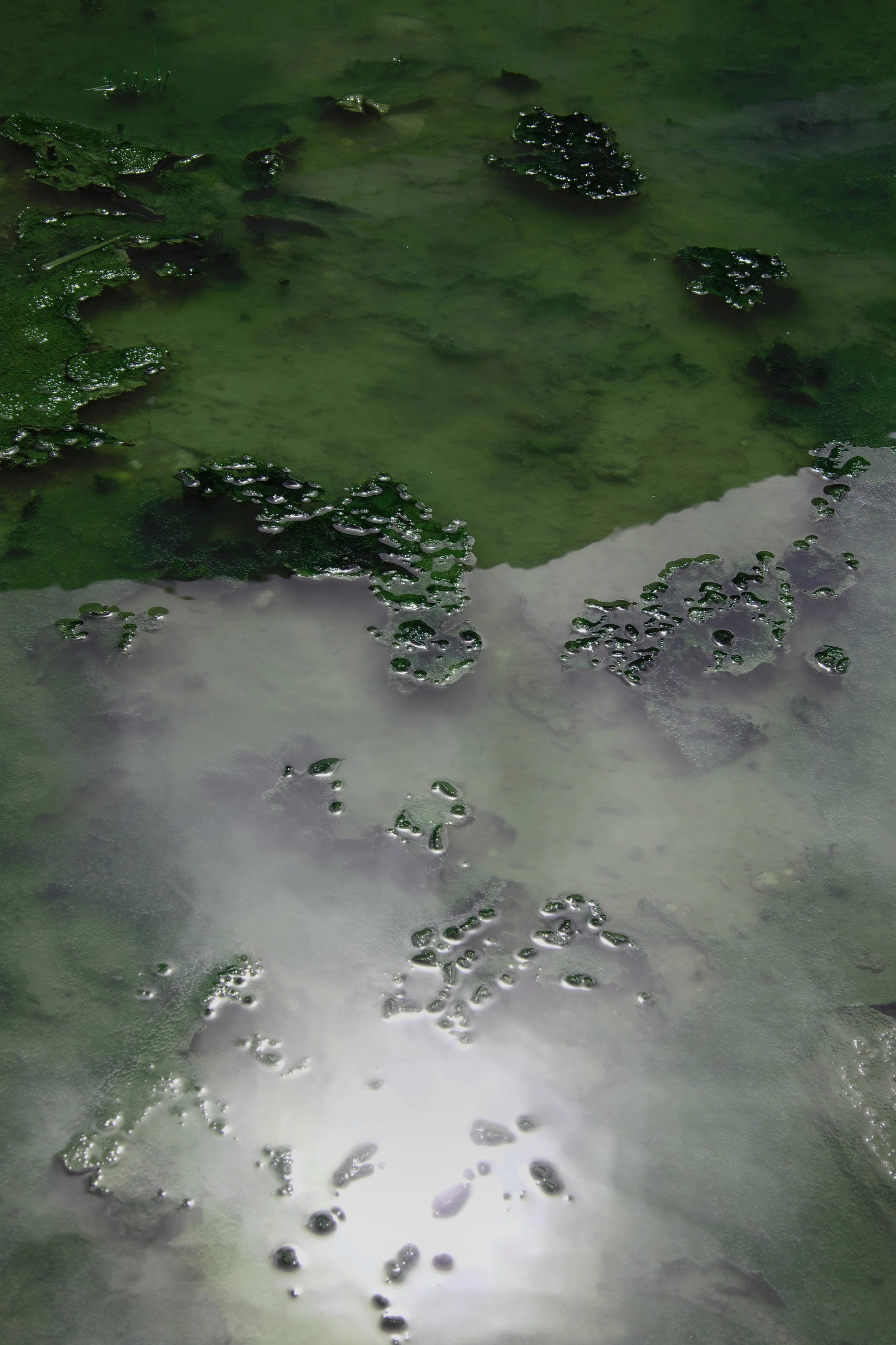 R0024420.jpg
