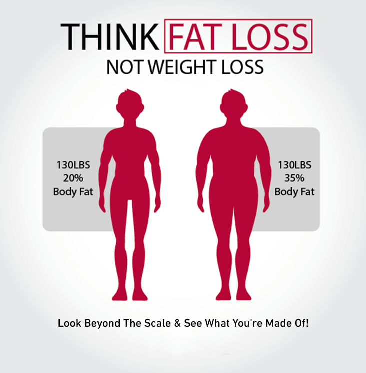 InBody Fat Loss.png