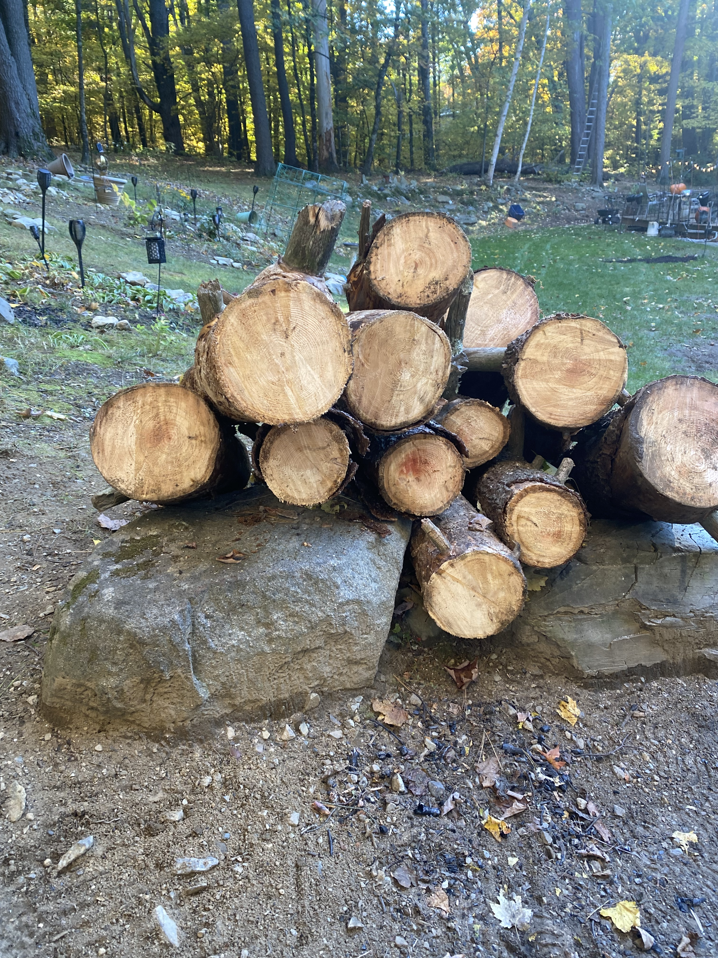 Original photograph, TotalWellCoach. Freshly cut logs stacked outdoors as autumn gives way to colder weather.