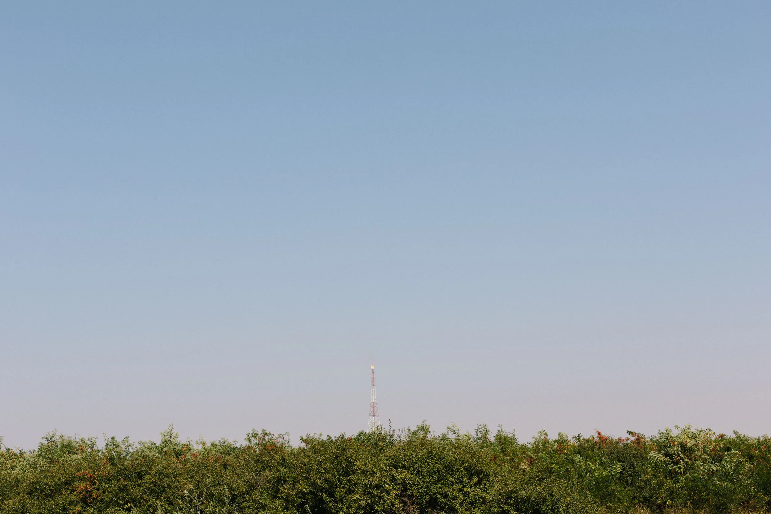 20150831_0502.jpg