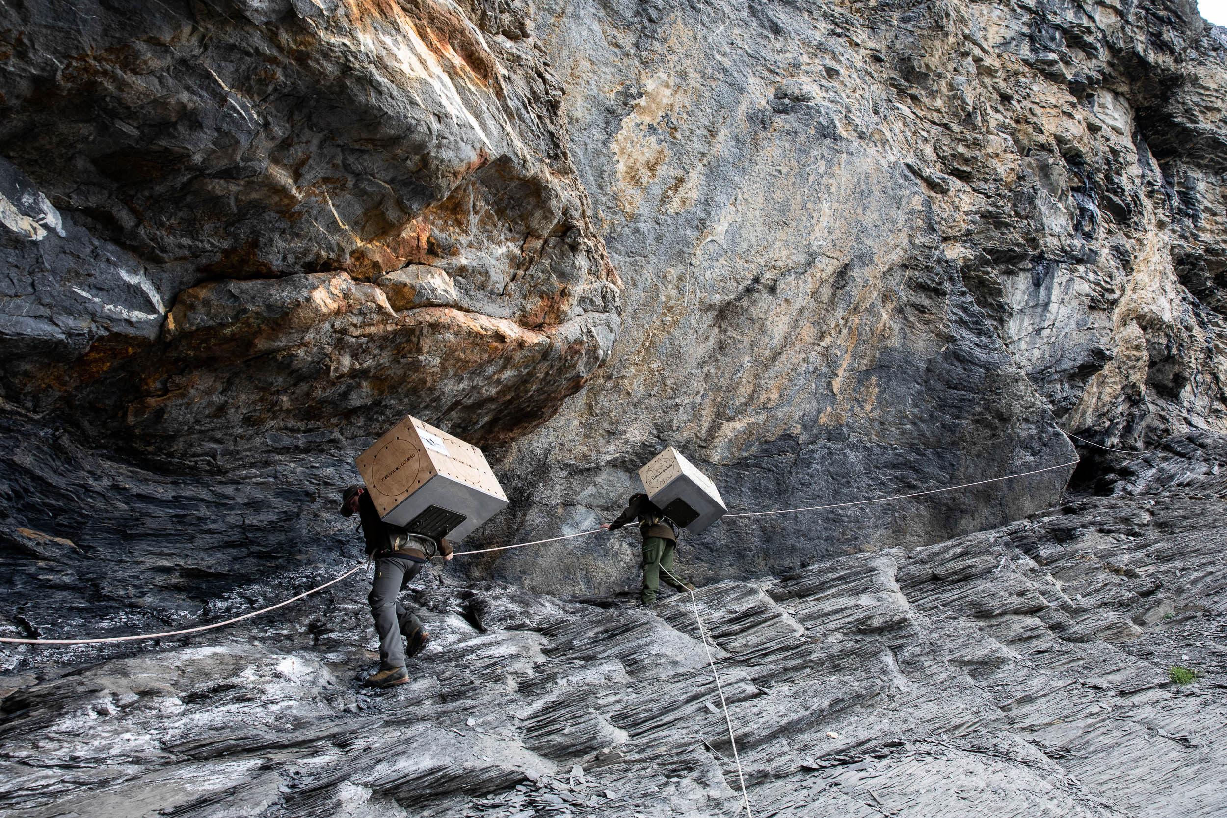  Die Felswand, welche von Stefan Laternser und Marco Omlin auf dem Weg zur Auswilderungsnische durchqueren müssen, schützt die Bartgeier Finja und Fredueli später vor Feinden 