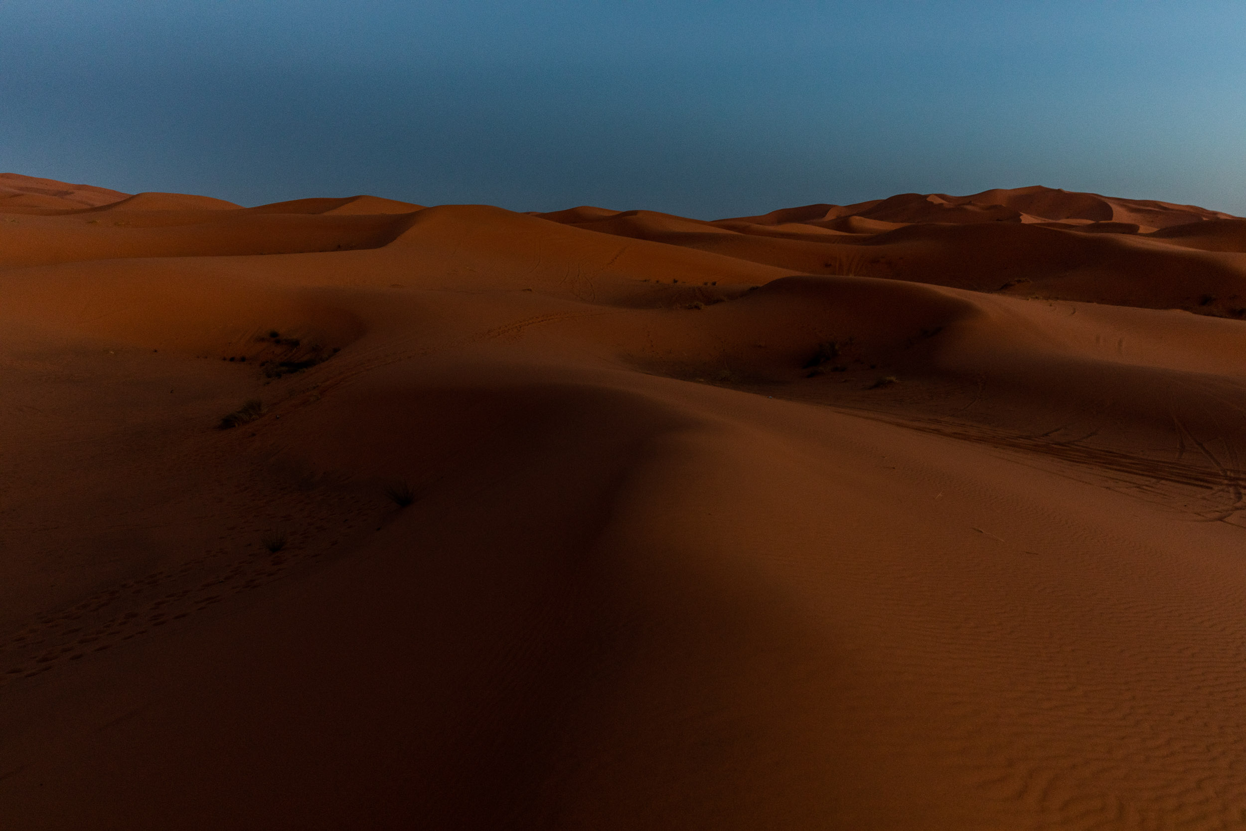 Sahara by night