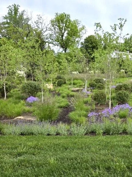image000006.jpg