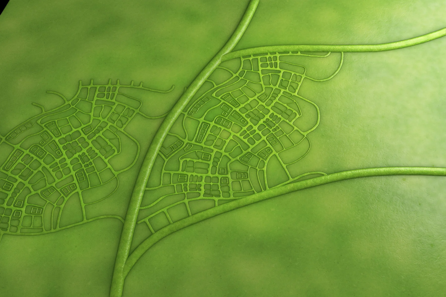 green leaf test2.jpg