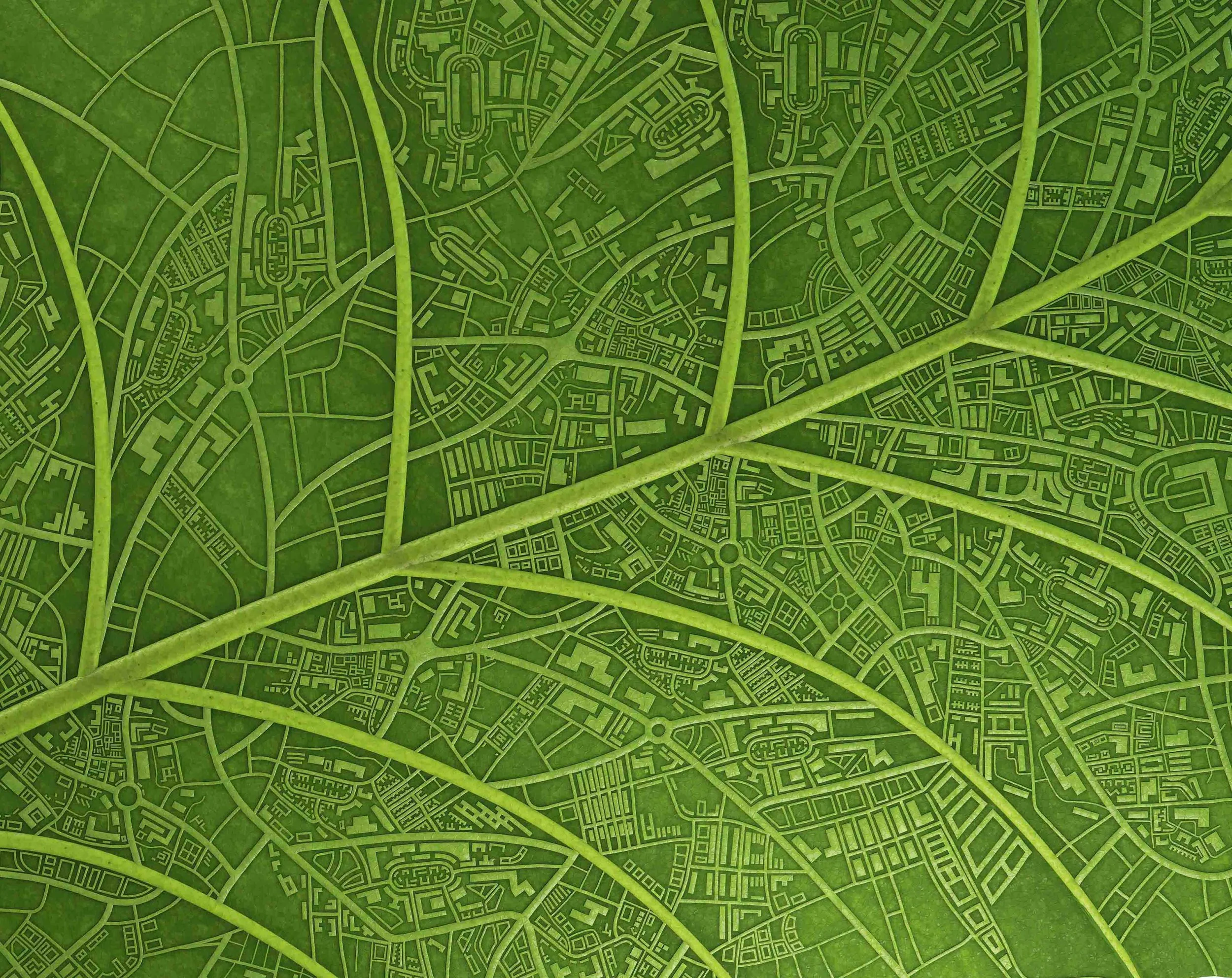 CropOfLeaf.jpg
