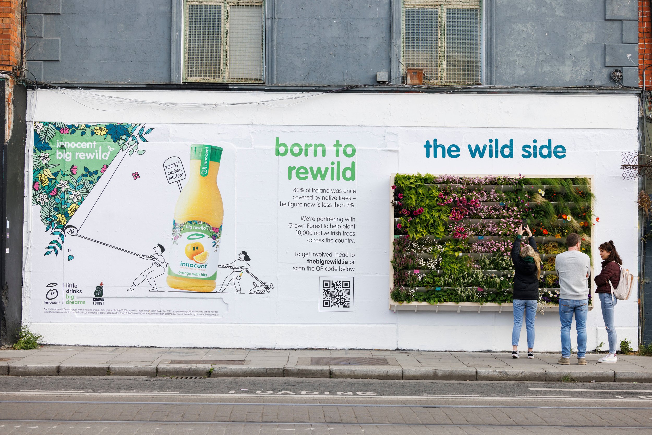 Ire Big Rewild wall 2.jpg