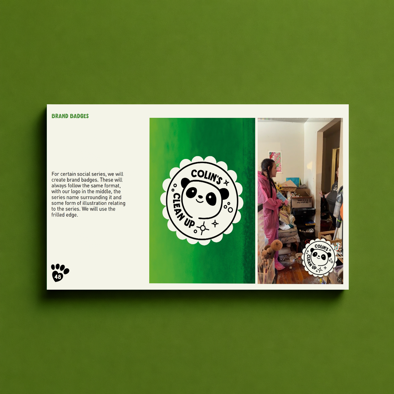 06.Cheekypandagruidelines.png