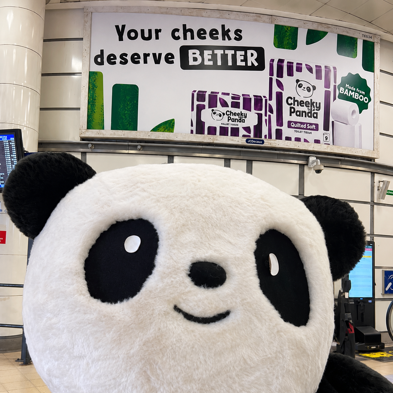 CheekyPandaCloseUp.png