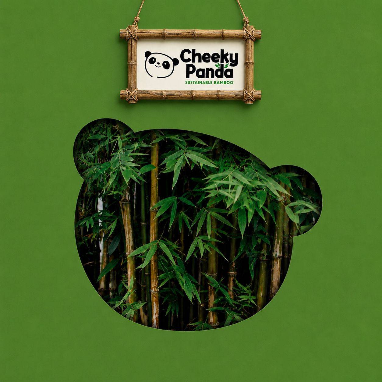 04. Cheeky Panda Thumbnail.png