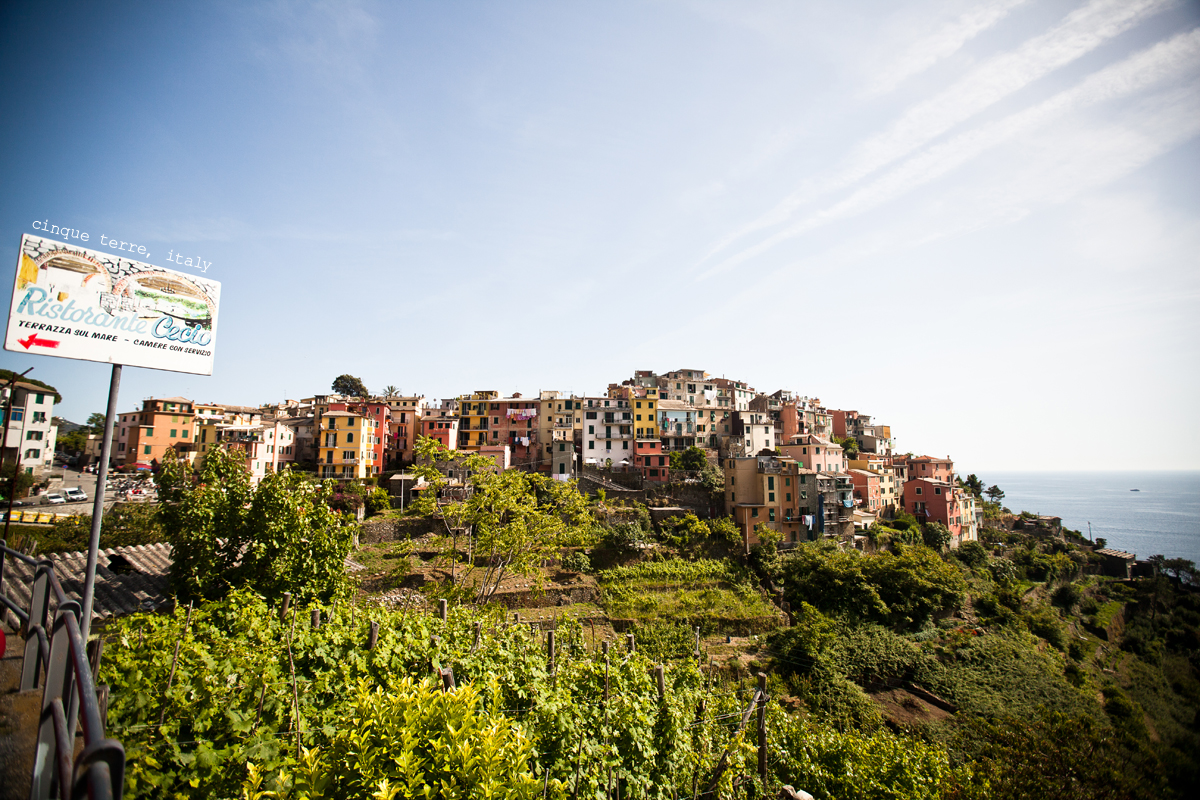 Italy2014_dvlpd-538_CARD.jpg