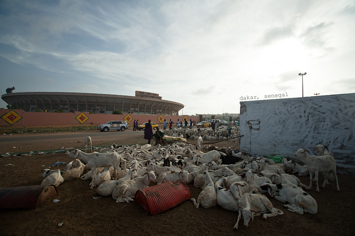Senegal2014_PhotoSelects-005-2text.jpg