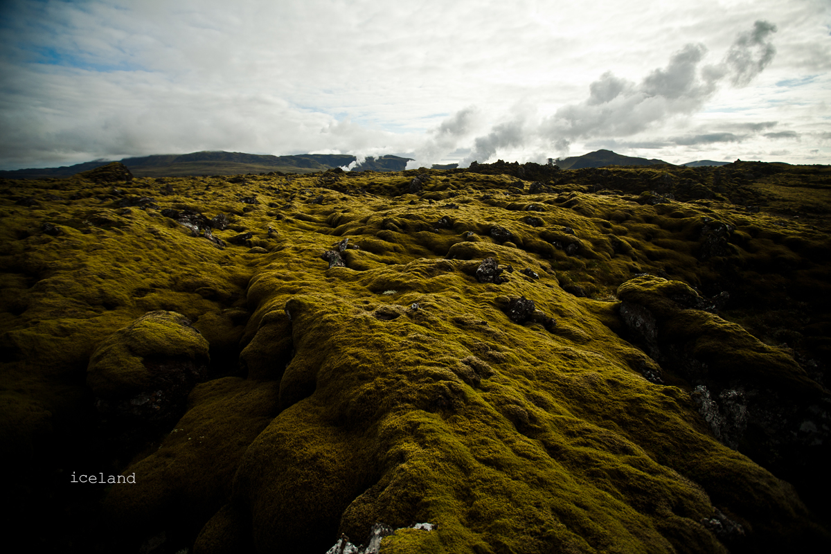 Iceland2014_Misc311_CARD.jpg