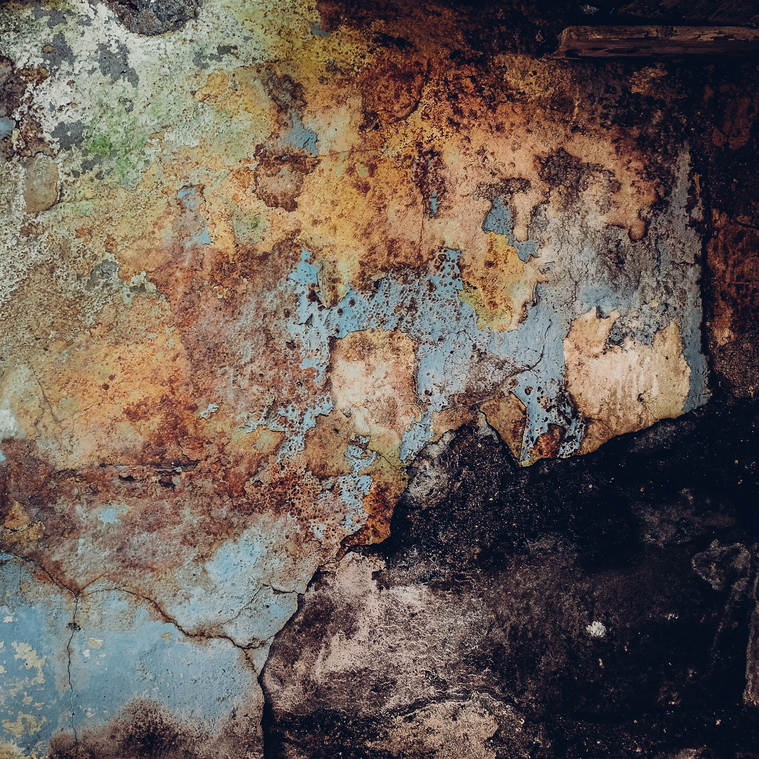 Texture (26 of 1).jpg