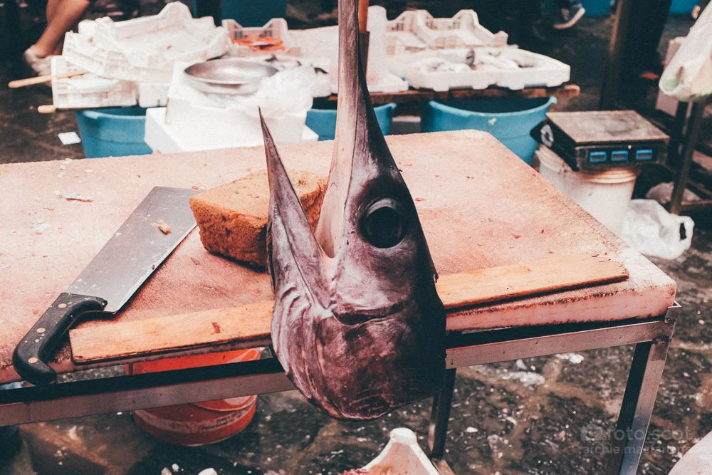 Sicilia II | La Pescheria