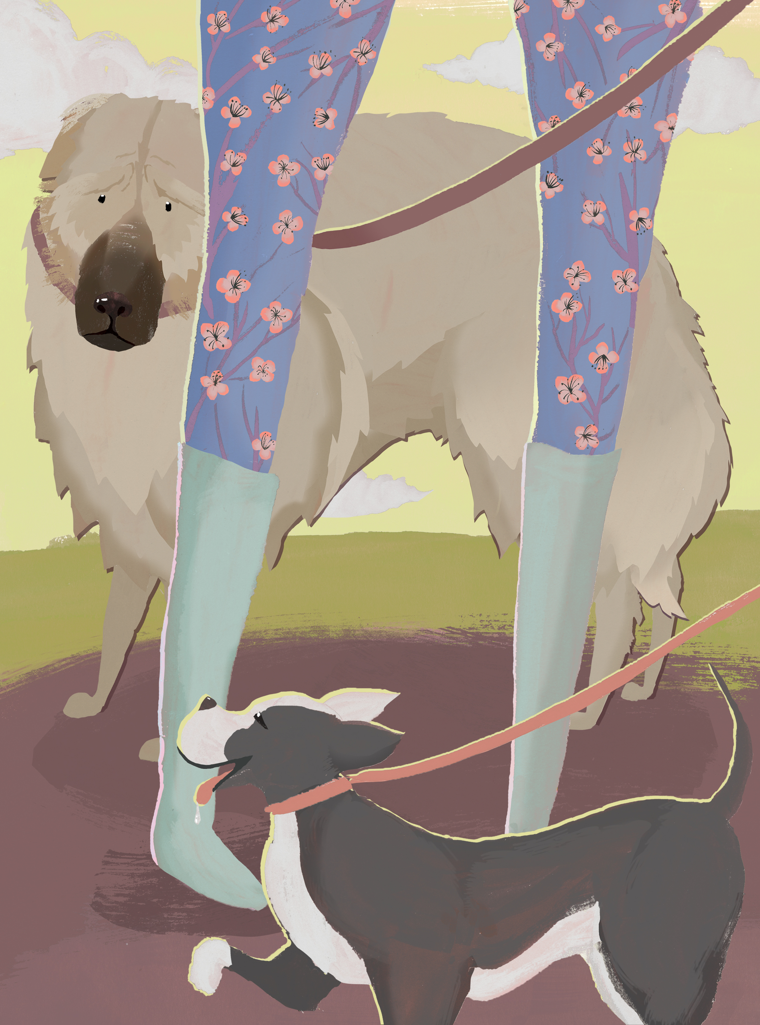 Modern Dog Magazine-Shy Dogs