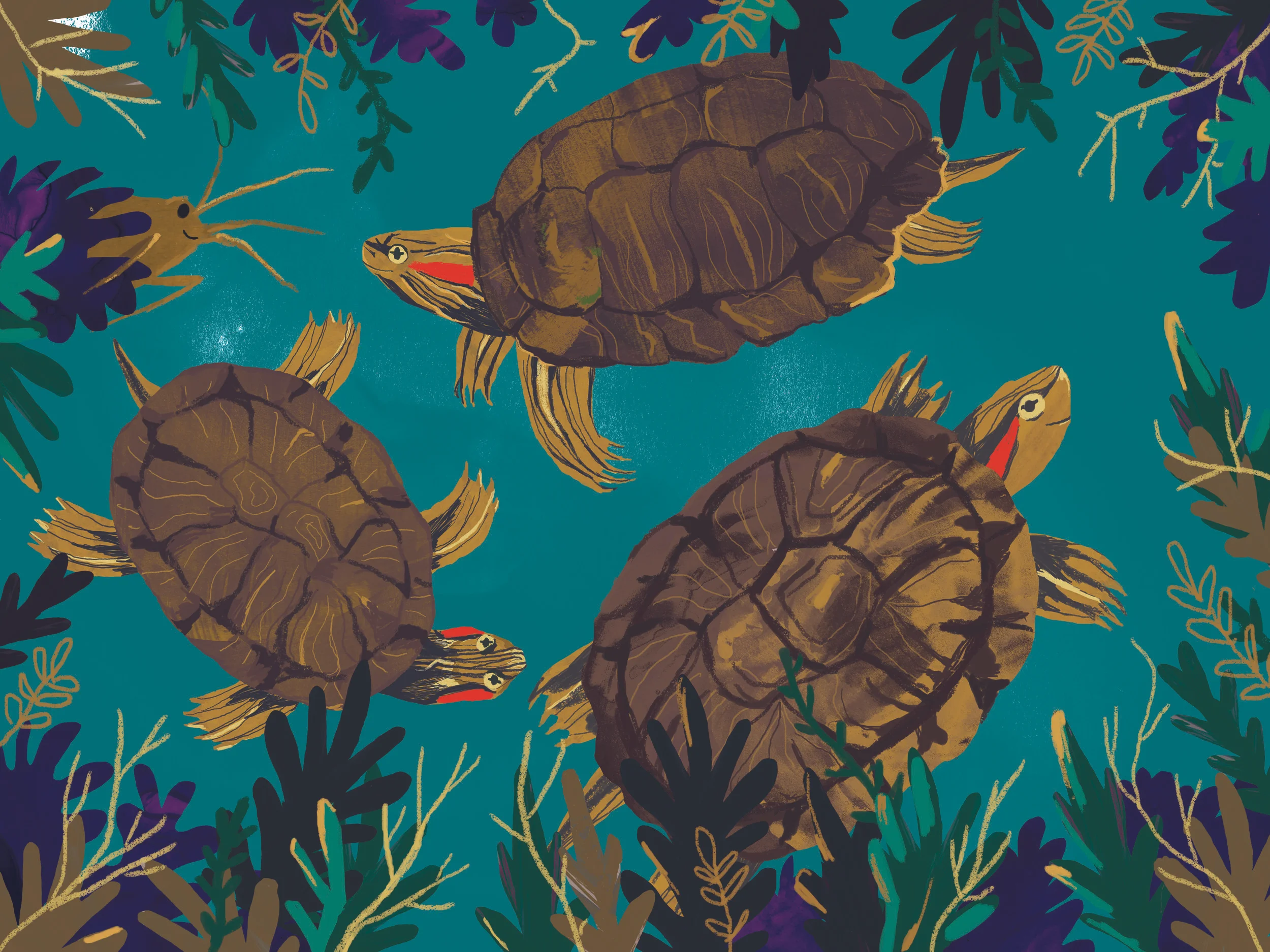 Turtles