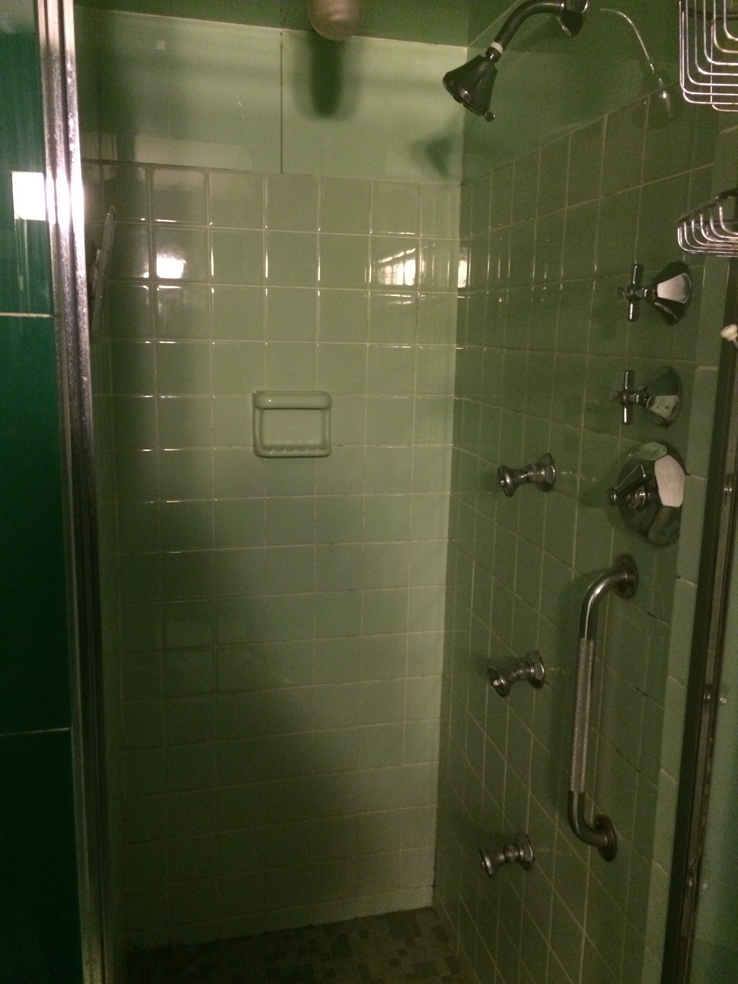 If they made green plumbing fixtures, we would have expected them here.