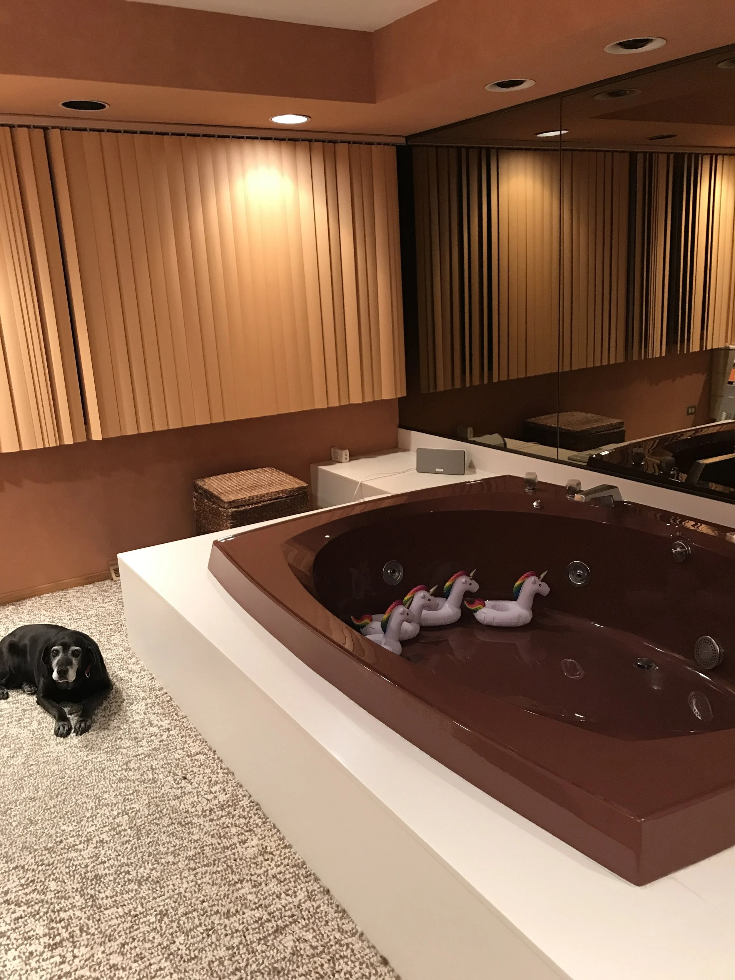 Another view of the maroon whirlpool tub. Unicorn beer floaters speak to the client's sense of humor about this situation. The previous homeowners had installed a separate 75 gallon water heater solely for the purpose of filling this koi pond. Our client's dog, Nelly, looks on curiously at these reminders of human folly.