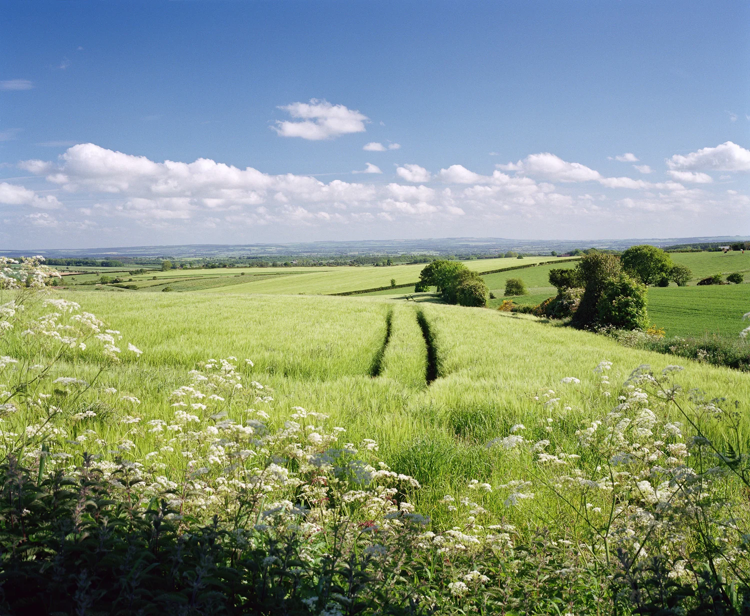 Vale of Pickering.jpg