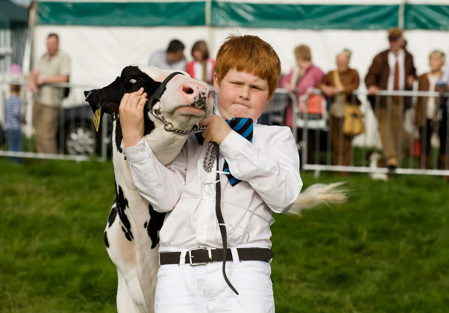 Richard Allen competing in the open dairy breed junior handler.jpg