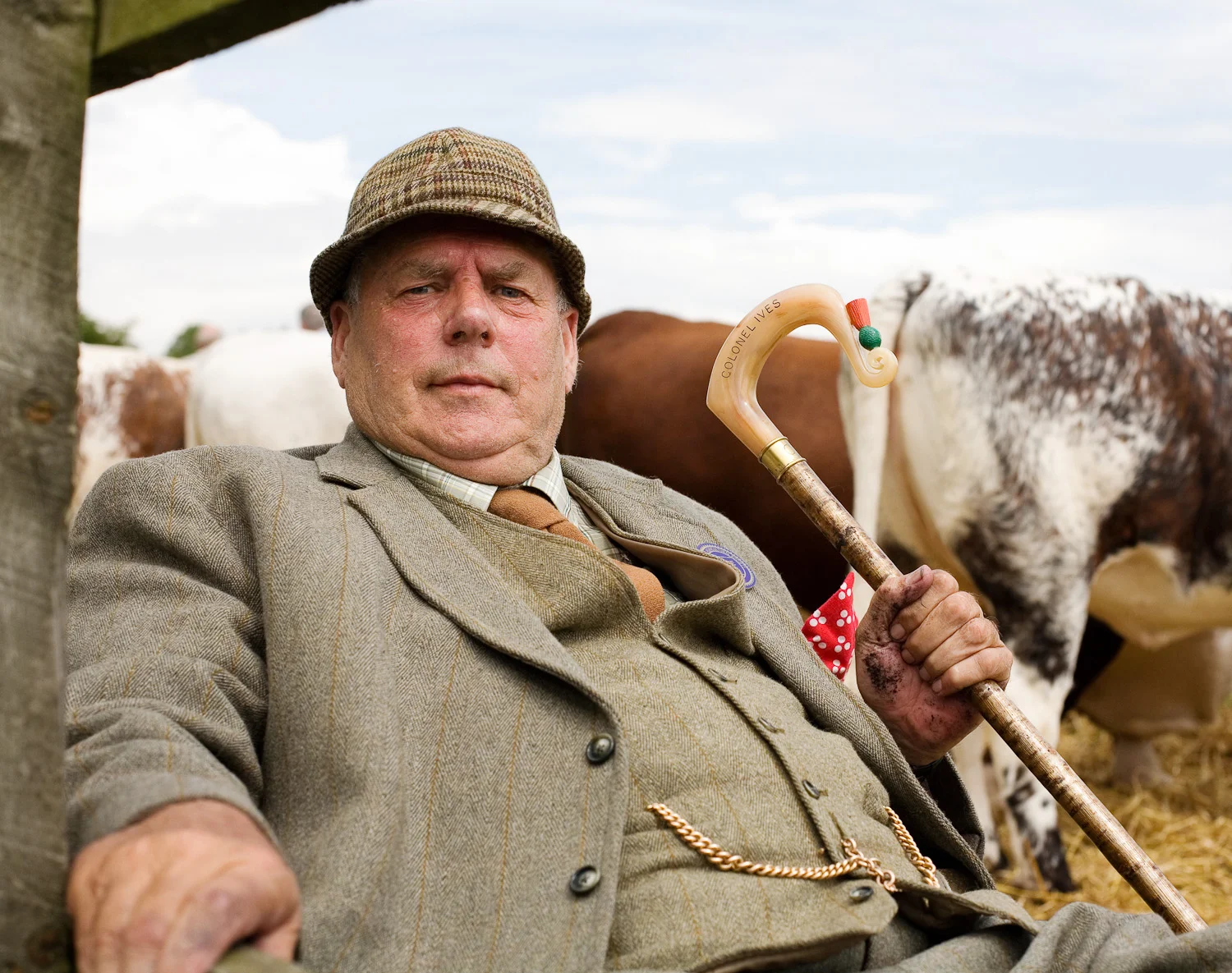 Carlton Ives, Commercial Beef cattle judge.jpg