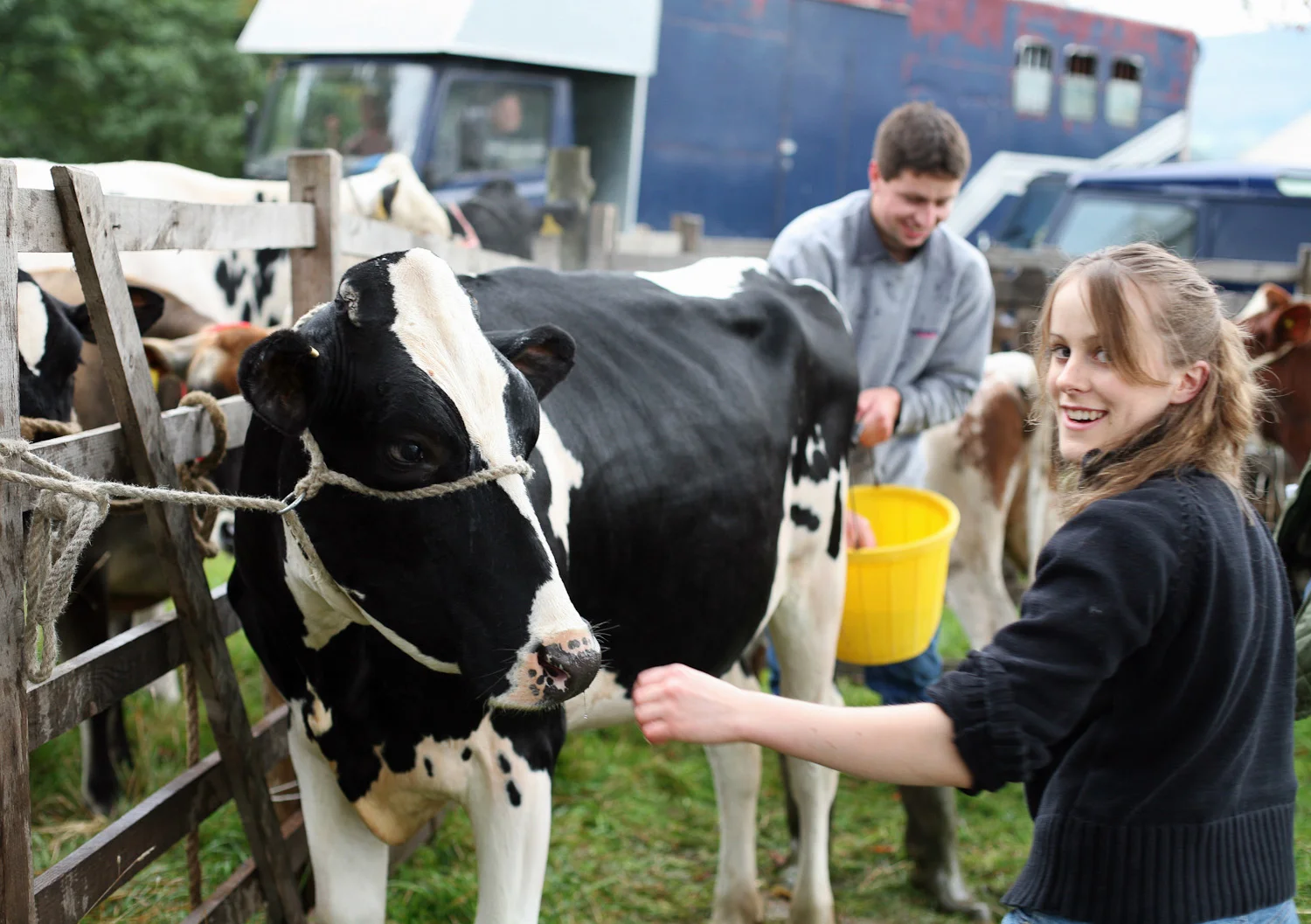 Rob Nelson and Laura Metcalf preparing Shottle Sadie for showing.jpg