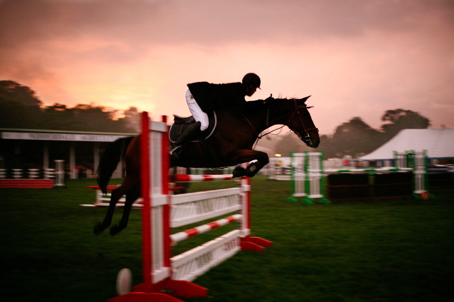 David Harland and Fabrizio competing in the showjumping.jpg