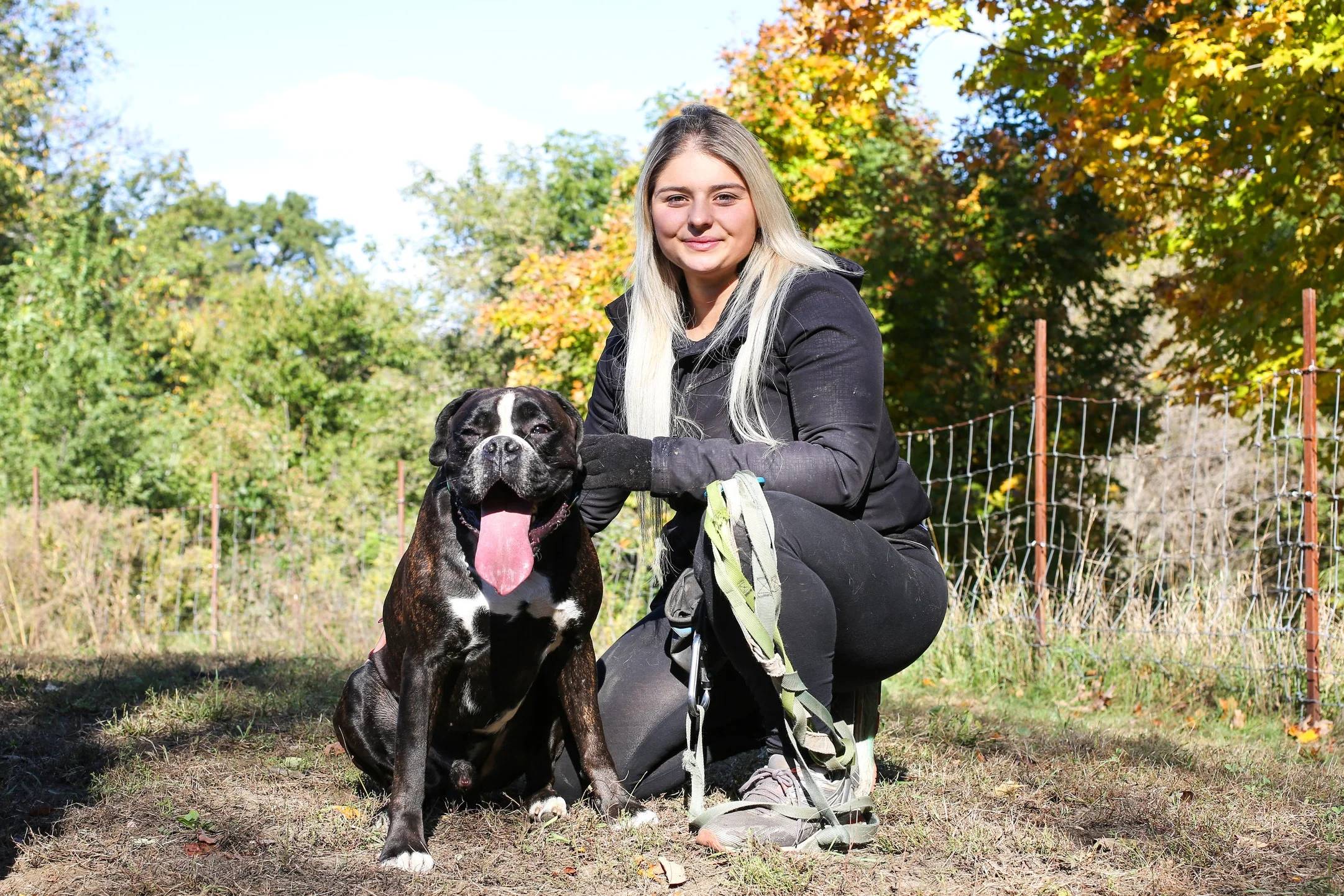 DogWalkShotsEdit-9.jpg
