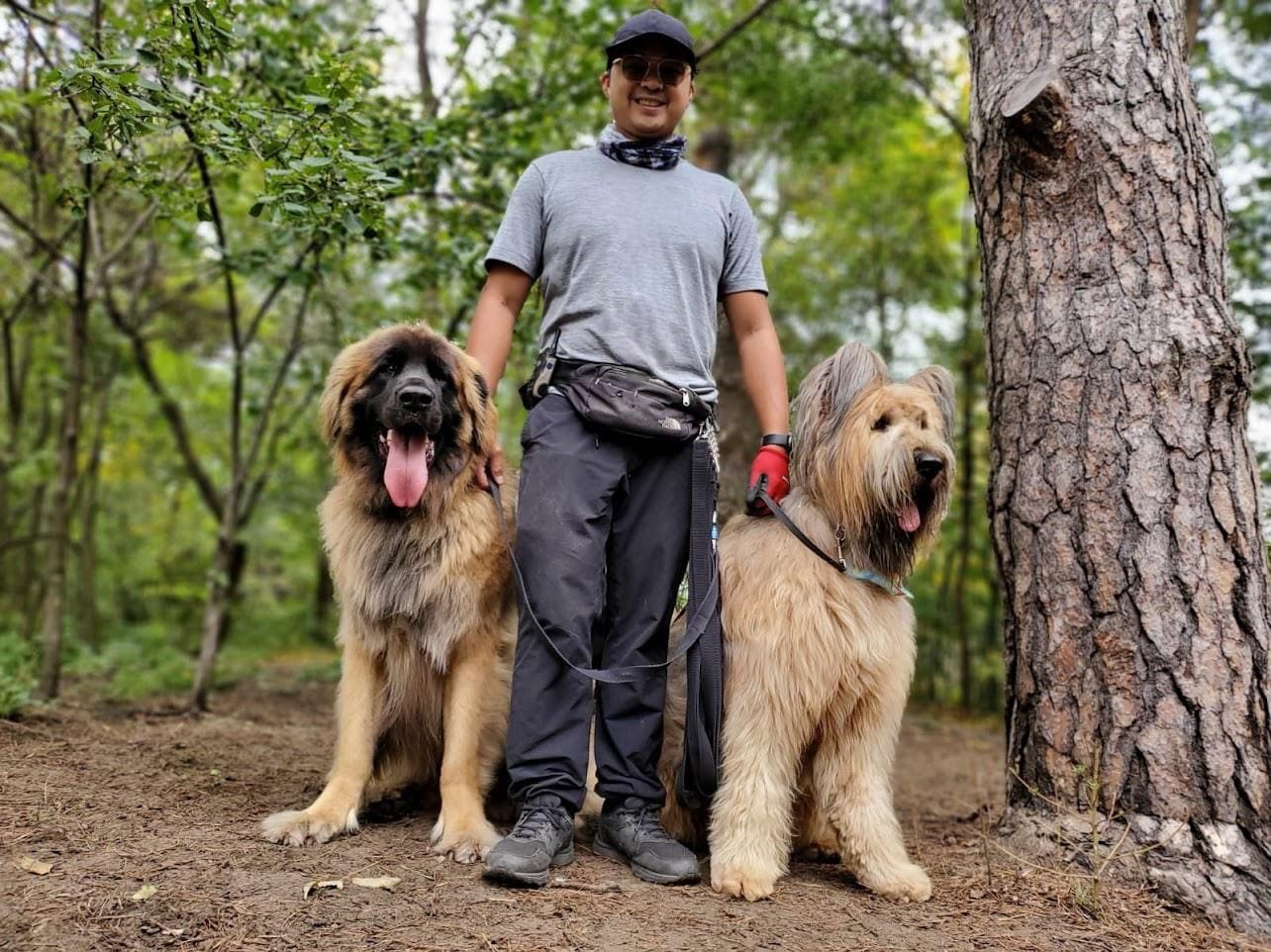 Dog walker trainer near me hotsell