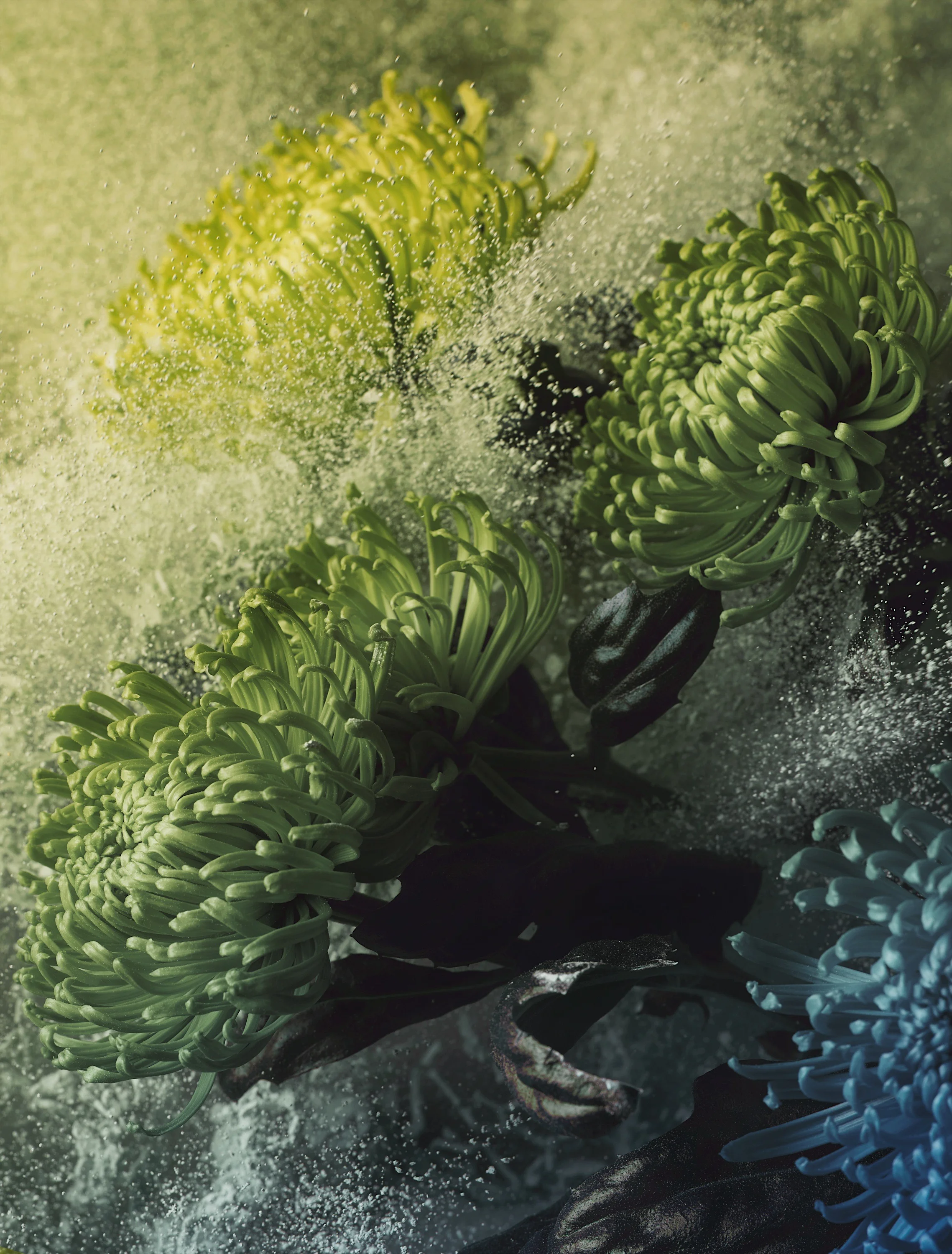 200_Permajet_PortfolioRag_Scan_RETOUCH_8bit copy.jpg