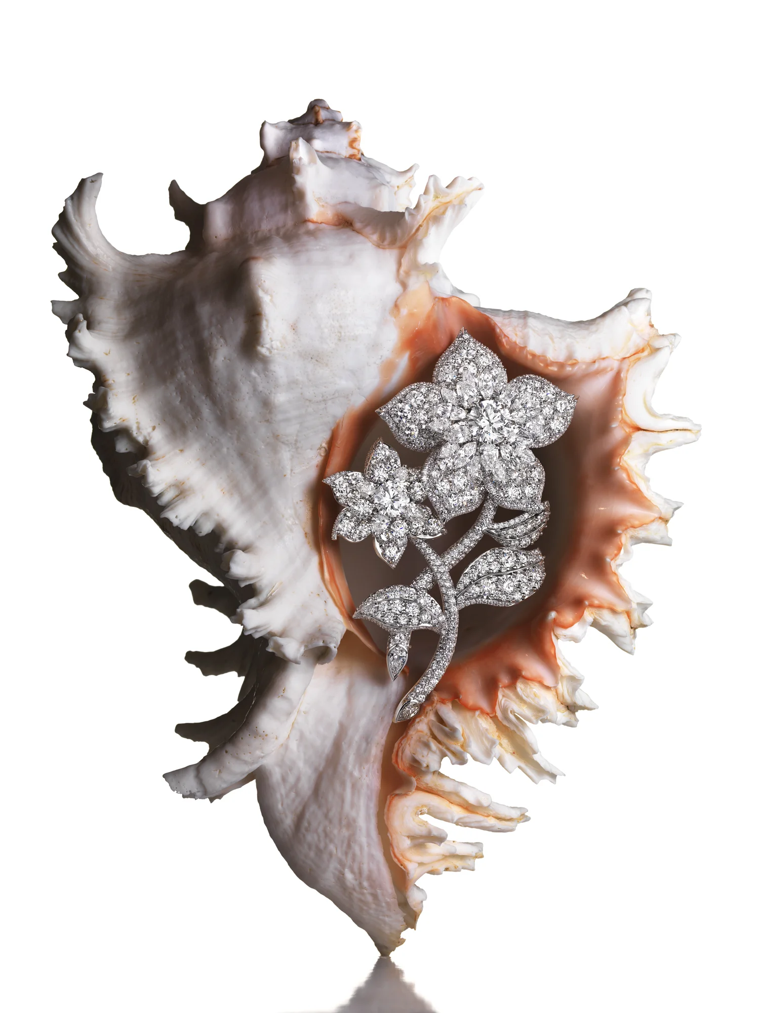 flower Graff Shells 183.jpg