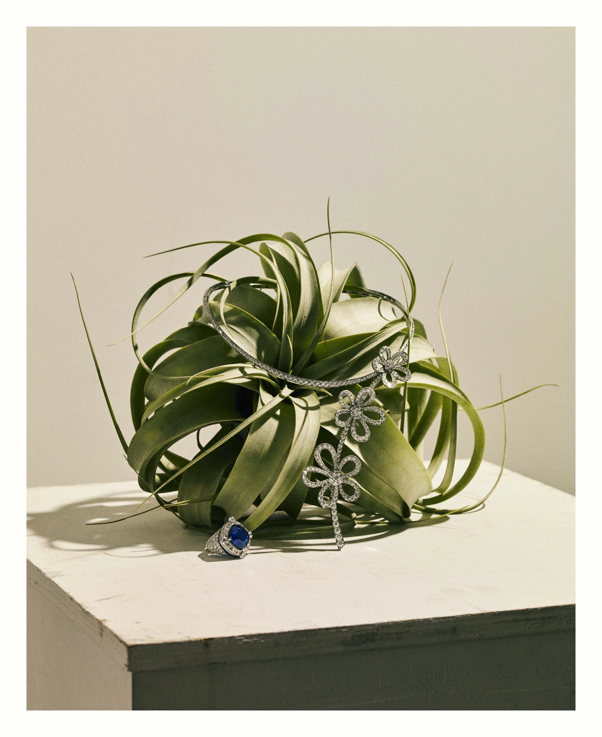 WEB VCA_Chanel_V2 copy.jpg