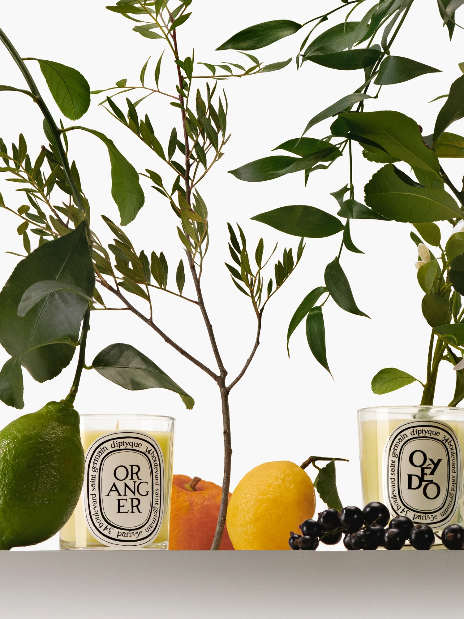 01_Diptyque_CROPS_Fam-olfactives-Bougies-Vapo_3.4_2025x2700px2.jpg