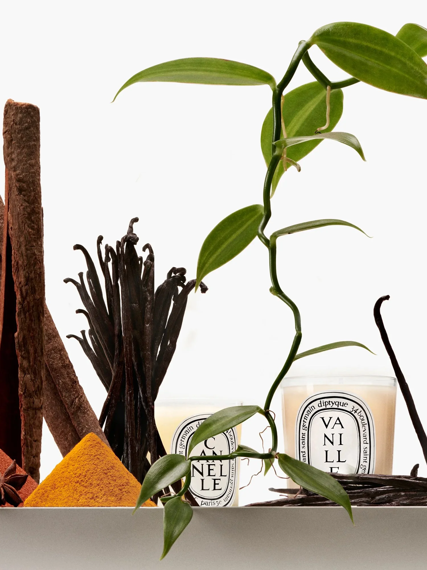 01_Diptyque_CROPS_Fam-olfactives-Bougies-Vapo_3.4_2025x2700px5.jpg