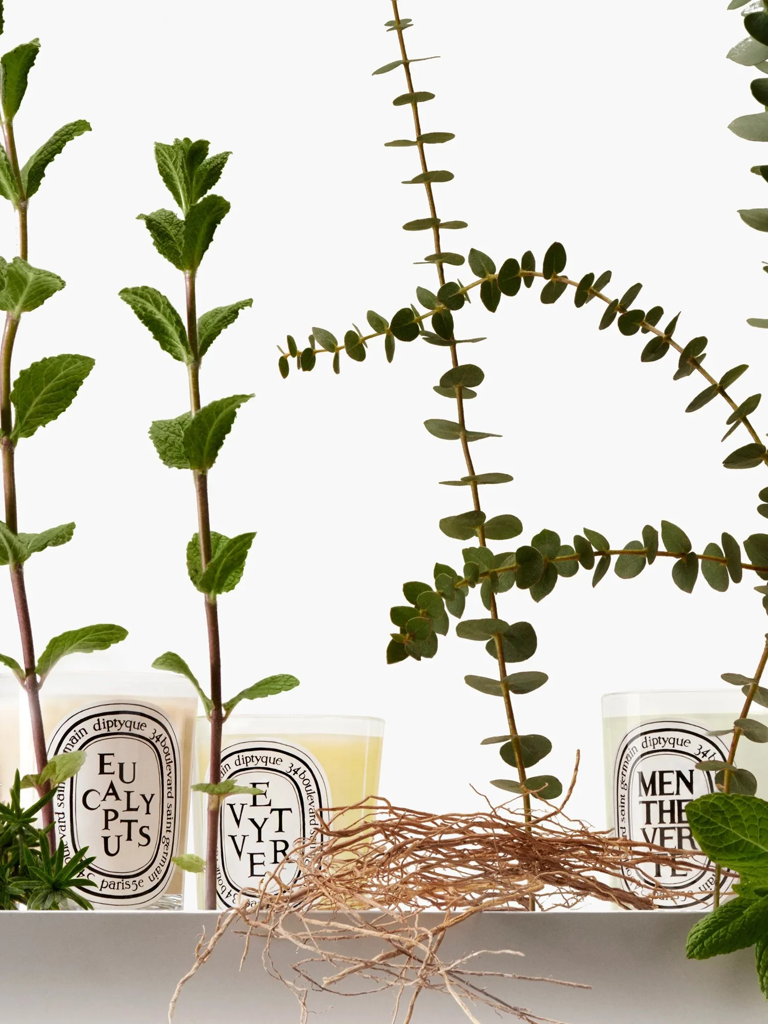 01_Diptyque_CROPS_Fam-olfactives-Bougies-Vapo_3.4_2025x2700px6.jpg