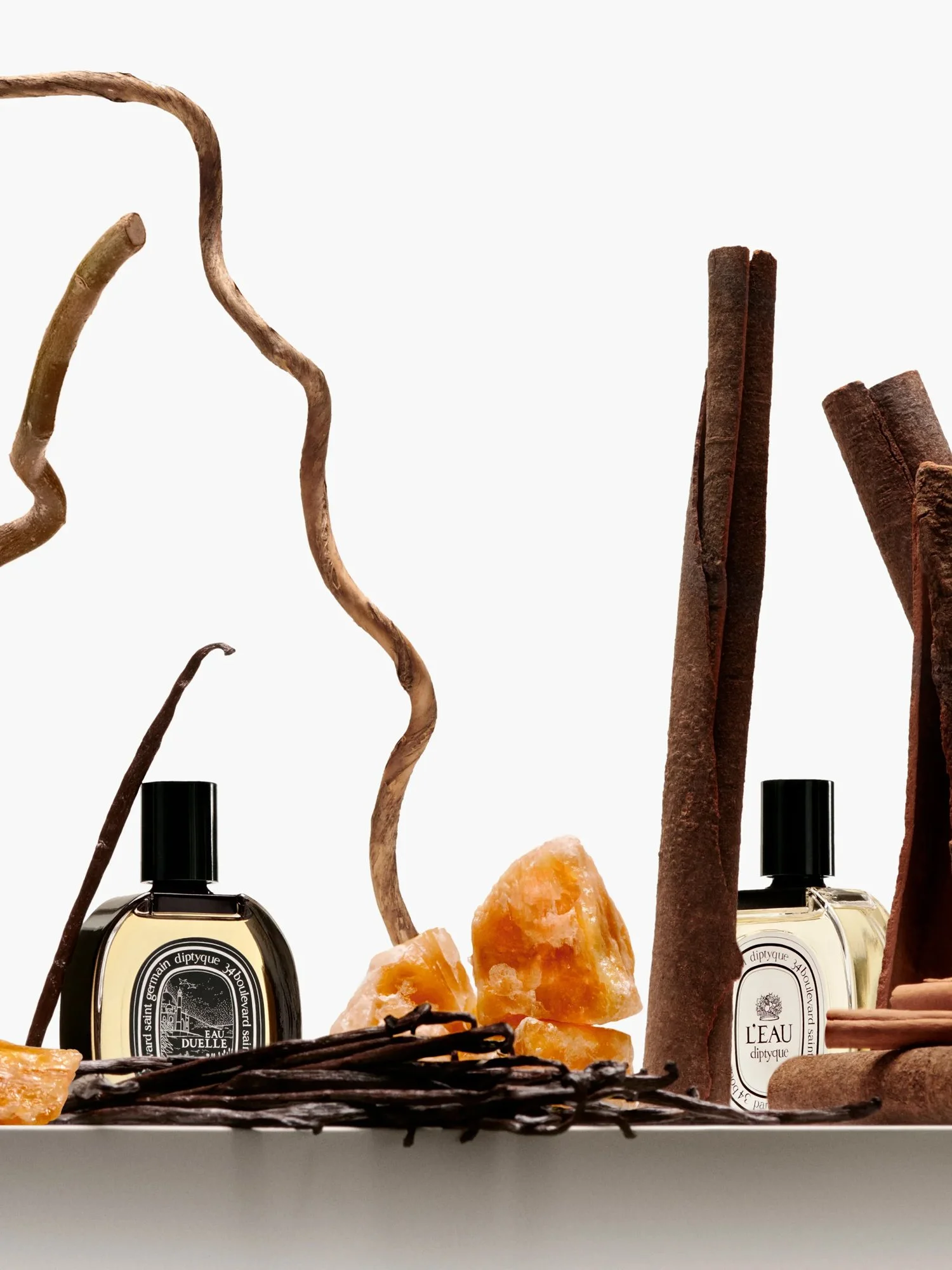 Diptyque_Olfactory_Family_-_Amber-_id_893_2025x2700px4_1-1.jpg