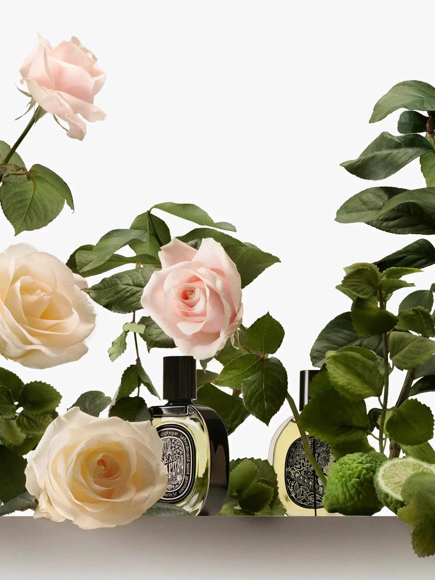 Diptyque_Olfactory_Family_-_Chypre-_id_446_2025x2700px4.jpg