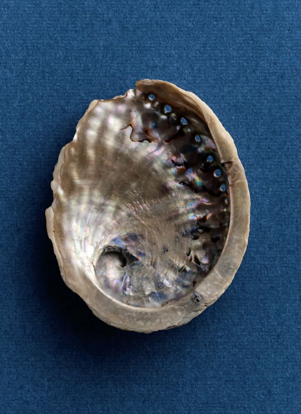 Screenshot 2026-01-23 at 15.33.05.png