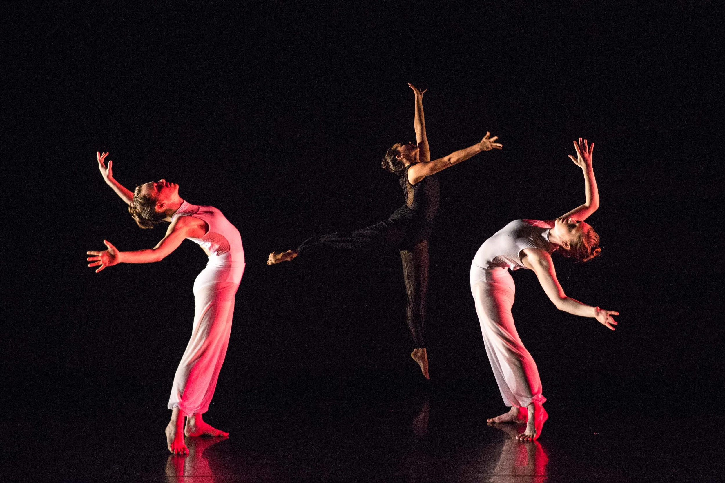 Ariel Rivka Dance