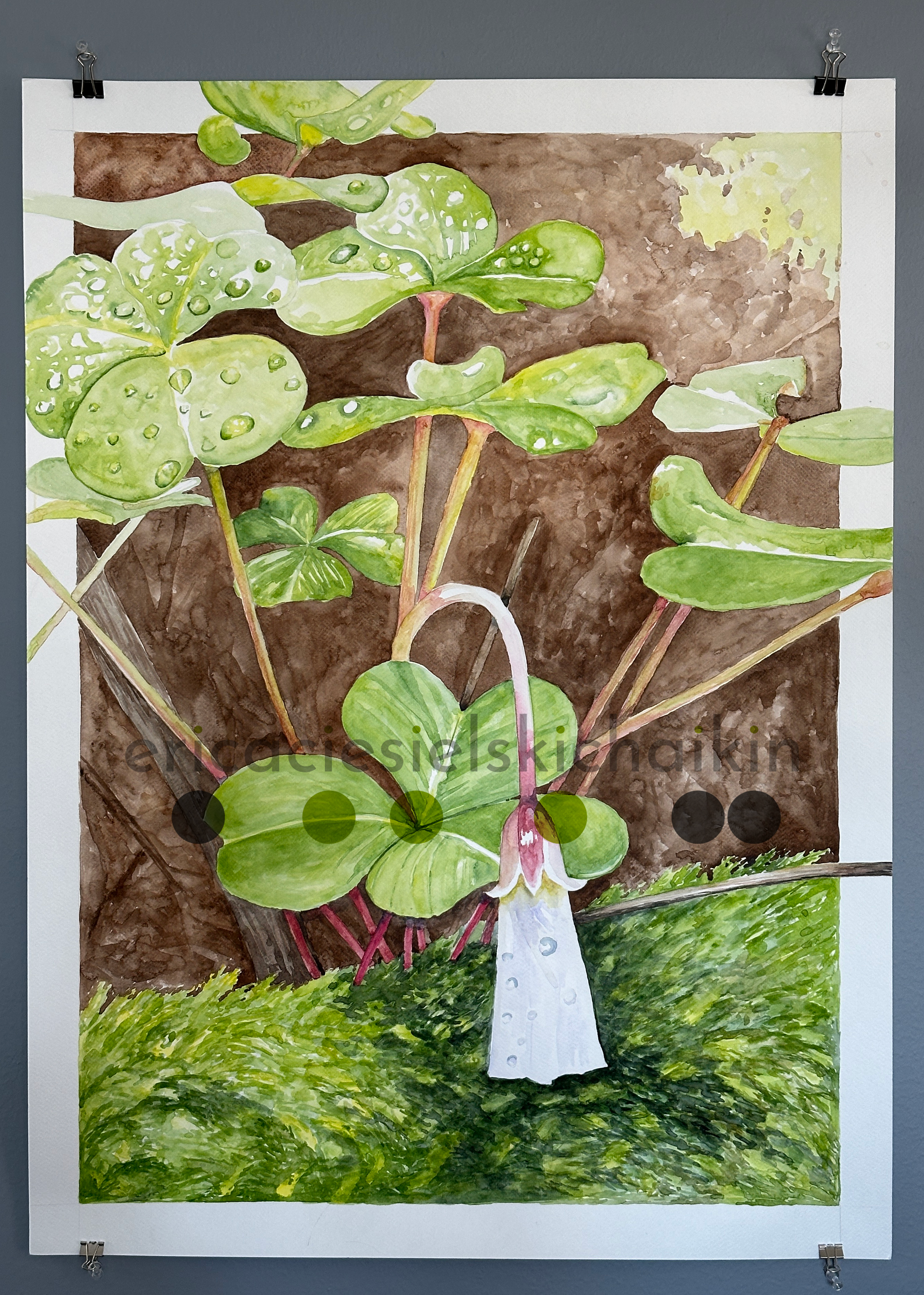 Floral7_wc.png