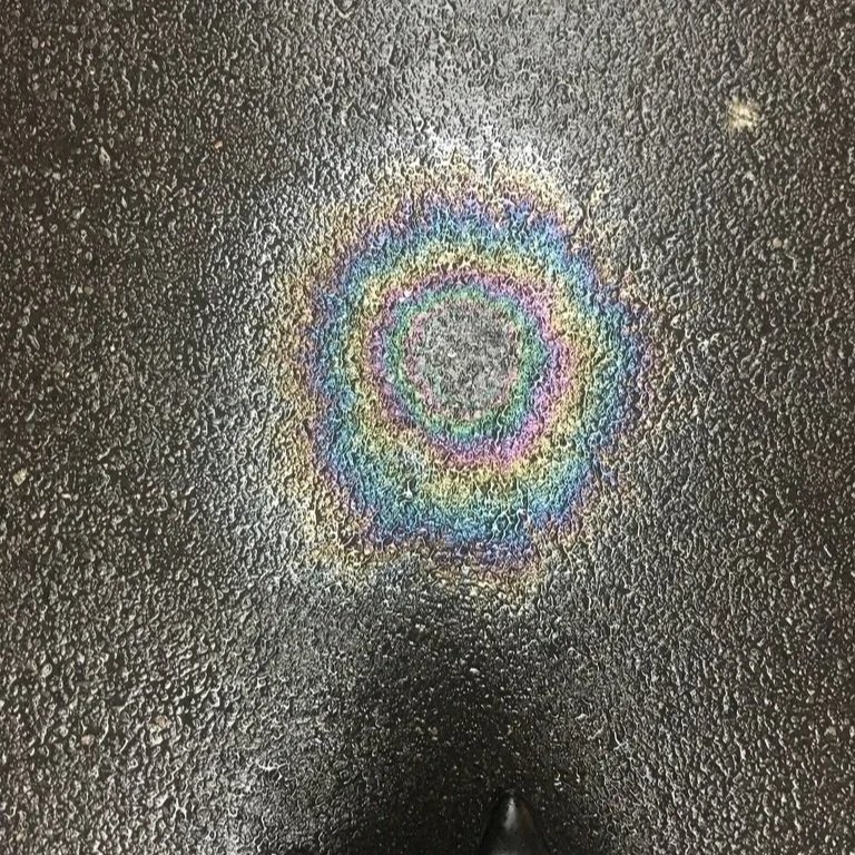 Get Delulu With Me, a six-week mindset workshop