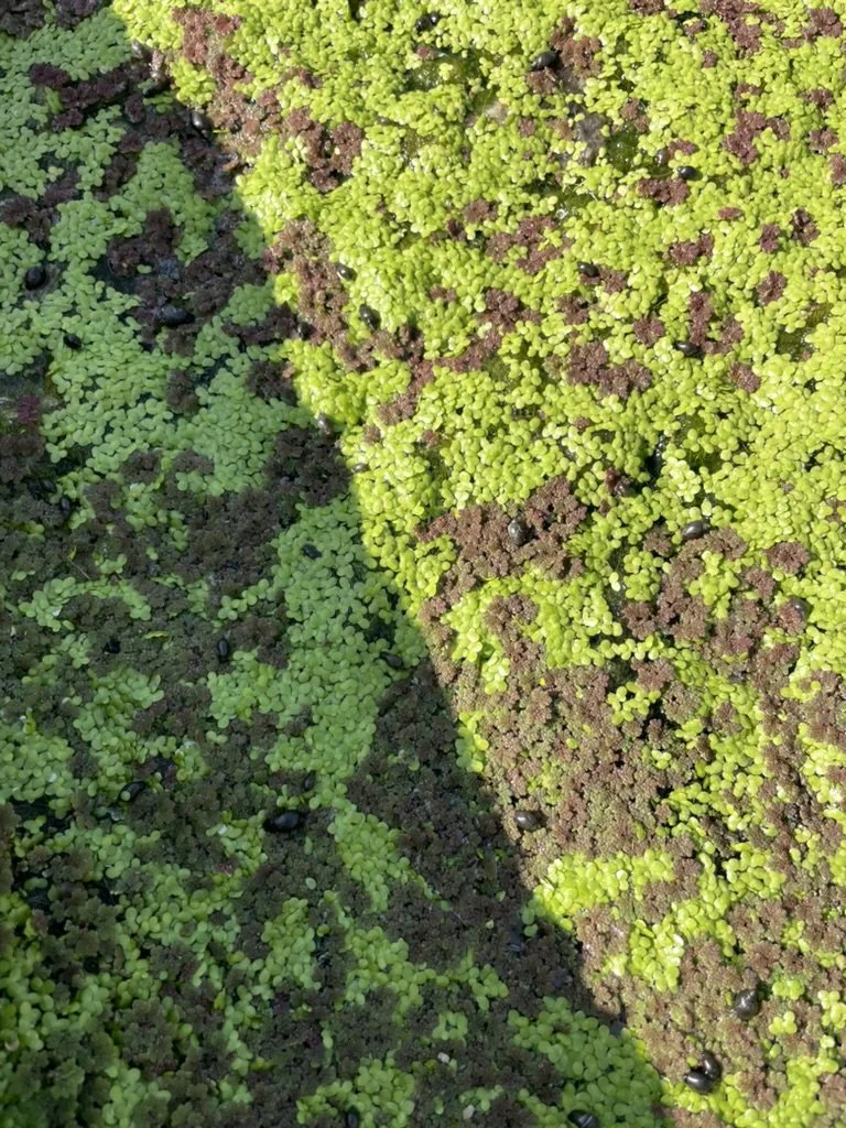 Get Off Spotify Workshop